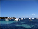 Rottnest Island 2